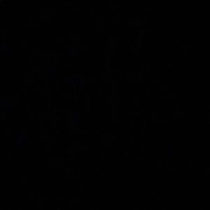 Meet your Posher, Camille